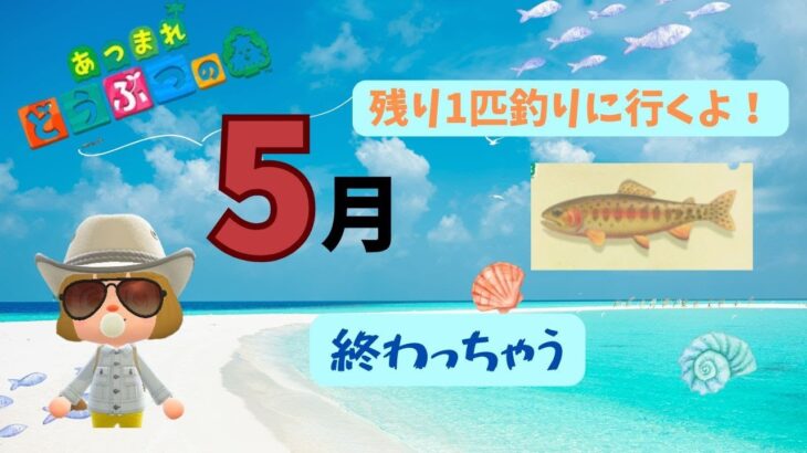 [あつ森]五月で釣れなくなるあいつを釣りにいくぜぇ・・・