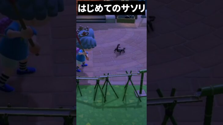 サソリふつうにいるんだね│ あつまれどうぶつの森