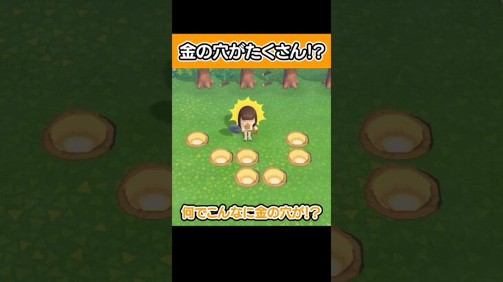 【あつ森】どこを掘っても金の穴！？ゴールドラッシュ発生！？