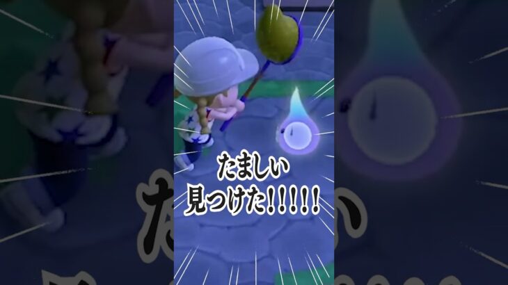 おもちゃ見つけたァ！！！！！！【あつ森】