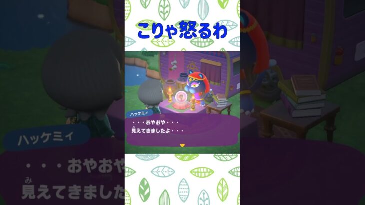 そりゃ怒る #あつ森 #ハッケミィ