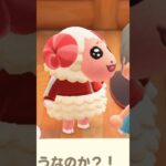 【あつ森】ちゃちゃまるの新事実を知った日  #あつ森 #あつ森ちゃちゃまる#あつ森vlog