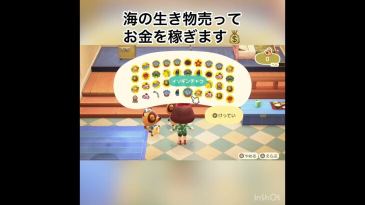 まとめて売ってベルを稼ぎます　#vlog #あつ森 #あつまれどうぶつの森 #asmr #shorts  こはくちゃんねる2424