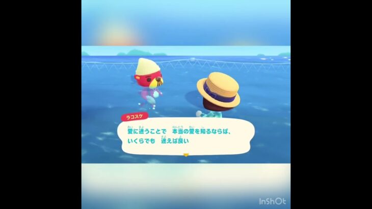 今日のラコスケの言葉　#あつ森 #あつまれどうぶつの森 #vlog #shorts  こはくちゃんねる2424