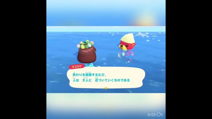 今日のラコスケの言葉　#あつ森 #あつまれどうぶつの森 #vlog #shorts  こはくちゃんねる2424