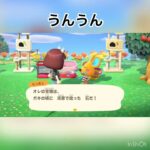 らっきょさんとおしゃべり　#あつ森 #あつまれどうぶつの森 #vlog #shorts  こはくちゃんねる2424