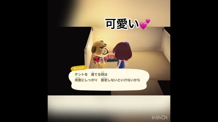 キャンパー来たよ　チャンプ　#vlog #あつ森 #あつまれどうぶつの森 #shorts こはくちゃんねる2424