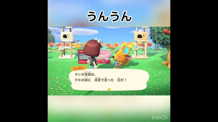 らっきょさんとおしゃべり　#あつ森 #あつまれどうぶつの森 #vlog #shorts  こはくちゃんねる2424