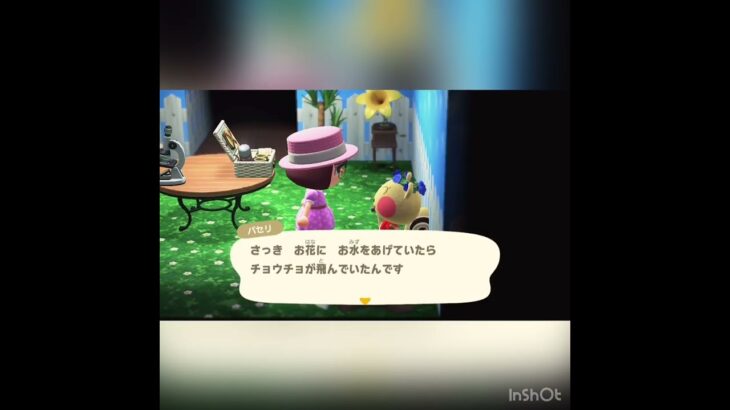 パセリちゃんとおしゃべり　#あつ森 #あつまれどうぶつの森 #vlog #shorts