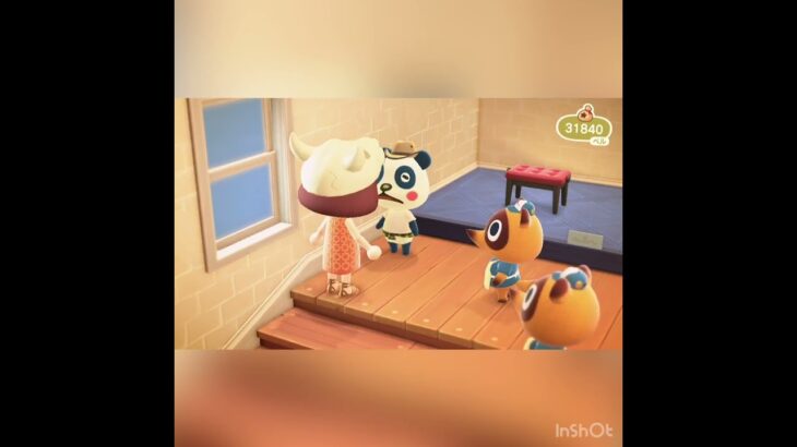 パンタとおしゃべり　#あつ森 #あつまれどうぶつの森 #vlog #shorts