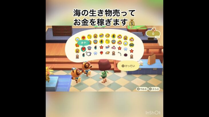 まとめて売ってベルを稼ごう　#vlog #あつ森 #あつまれどうぶつの森 #shorts