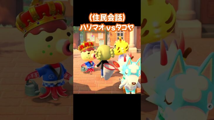 【あつ森/住民会話】ハリマオvsタコヤ
