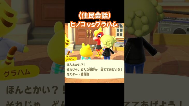 【あつ森/住民会話】ヒノコvsグラハム