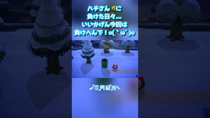 ここだぁー！！！！＼＼\٩( ‘ω’ )و //／／ #あつまれどうぶつの森 #あつ森 #あつまれ動物の森 #新人vtuberを発掘せよ