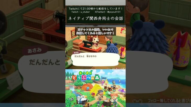 【あつ森】ネイティブ関西弁同士の会話【#vtuber  /#shorts /#あつ森  /#あつまれどうぶつの森 】
