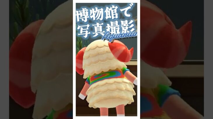 泣いたw 博物館でちゃちゃまると写真撮影【あつ森】 #shorts #あつ森 #新人vtuber