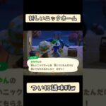 【#あつ森 】新しいニックネーム〜ついに調味料w〜【#switch 】