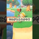 【#あつ森 】なにがとれるかな？〜下手やな〜w〜【#switch 】