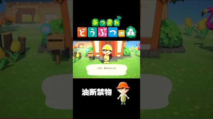 【あつ森】資材集め中に悲劇が起こるwwwwwwww