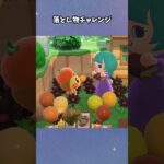 【あつ森】落とし物1発で届けたい！！！ #あつ森  #あつまれどうぶつの森  #女性ゲーム実況
