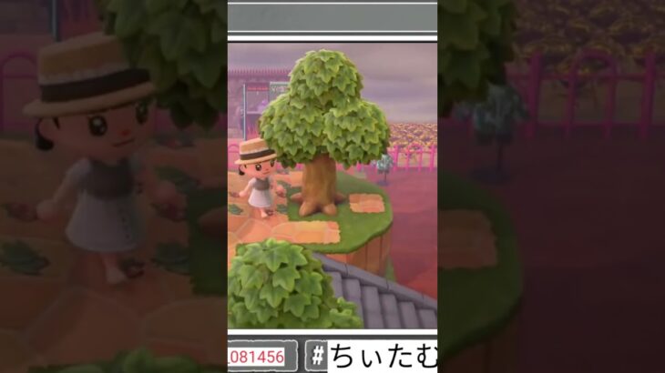 #あつ森  前の えの島の島案内して1番大好き場所紹介します(*^^*)