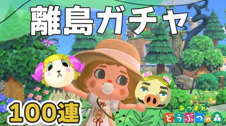 【あつ森】離島ガチャ100連｜マリー、トンファン狙い｜ライブ【あつまれどうぶつの森】