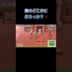 あつ森　#156　まったりしていきませんか？🐑🐰🎵