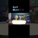 あつ森　#161　まったりしていきませんか？😺✨️
