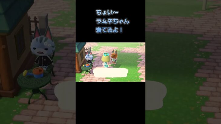 あつ森　#162　まったりしていきませんか？😺🎵🎵