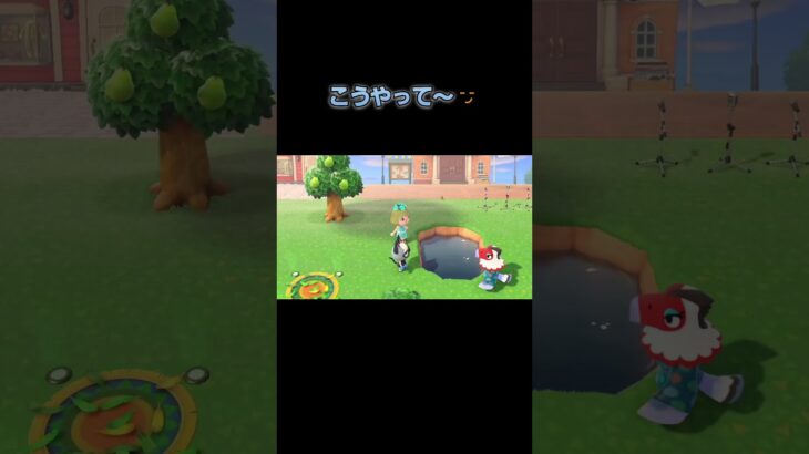 あつ森　#164　まったりしていきませんか？🦅😺✨️