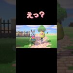 あつ森　#180　まったりしていきませんか？😺✨️