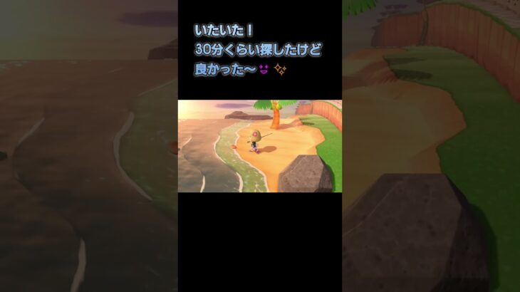 あつ森　#181　まったりしていきませんか？😺✨️✨️