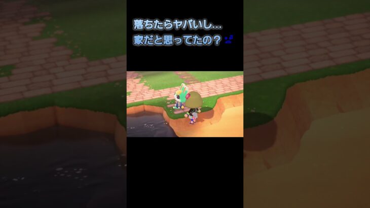 あつ森　#184　まったりしていきませんか？🐰🎵