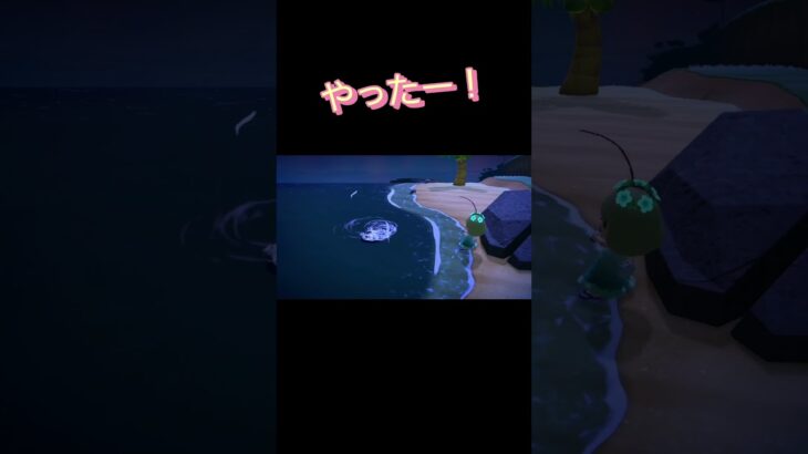 あつ森　#196　まったりしていきませんか？🐰🐟
