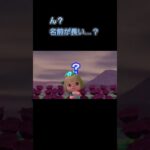 あつ森　#198　まったりしていきませんか？😺🎵