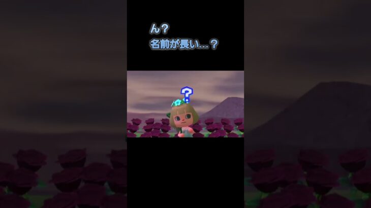 あつ森　#198　まったりしていきませんか？😺🎵
