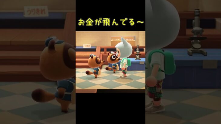 お金が飛んでる～【あつ森】20250603