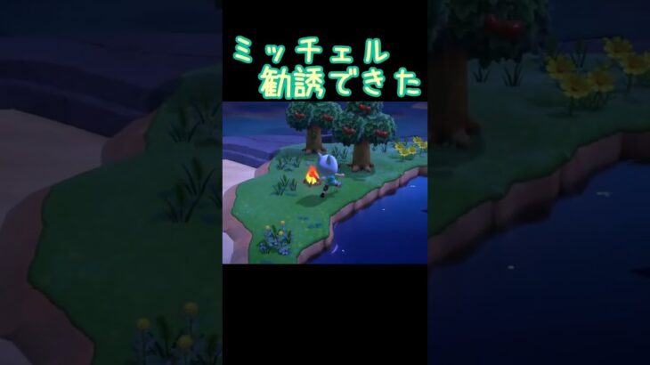 ミッチェル勧誘できた【あつ森】20250610