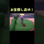 お宝探し成功！【あつ森】20250610