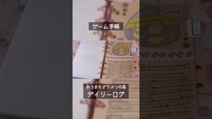 【ゲーム手帳】あつ森 デイリーログ(2025年5月版)【あつまれ どうぶつの森】