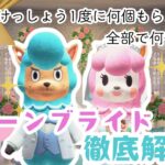 【あつ森】2025年6月のイベント💒ジューンブライド💒徹底解説します✨|あつ森攻略