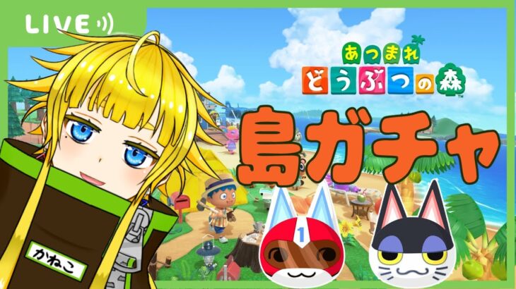 【あつ森】島ガチャ20連！　１号とビンタに会いたい！！！【Vtuber/金子たろ】