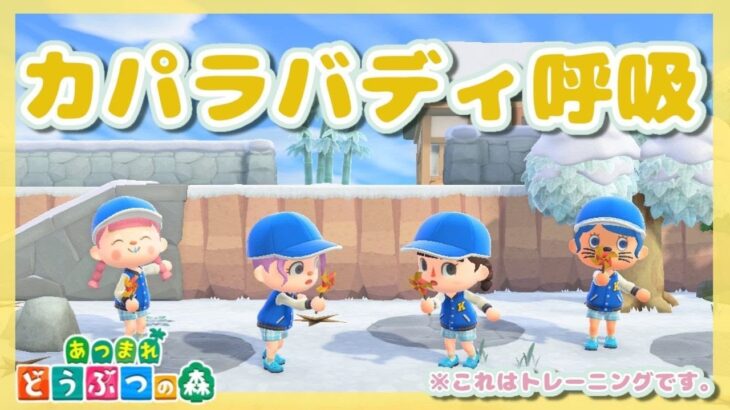 【あつ森】マイデザなし和風島クリ 22