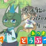【あつ森】草木猫の のびの～び生活日記 #24「お誕生日会！🎂」（ケモノ系VTuber）