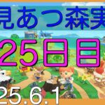 【あつ森】25日目　崖潰しがめんどくさいの巻