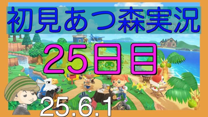 【あつ森】25日目　崖潰しがめんどくさいの巻