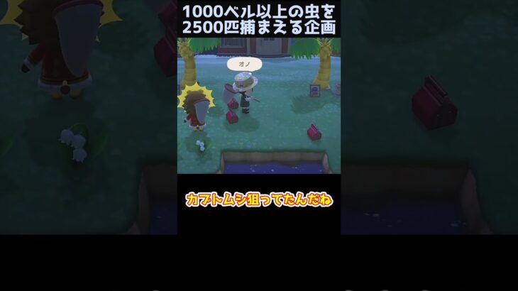 【あつ森】≪虫2500匹企画≫　カンストを目指したら…　　　　　　　　　　　　　　 #あつ森　 #ゆっくり実況　 #どう森