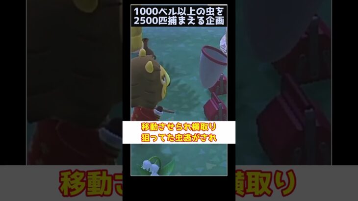 【あつ森】≪虫2500匹企画≫　ヤシの木から締め出されたキング　　　　　　　　　　 #あつ森　 #ゆっくり実況　 #どう森