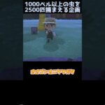 【あつ森】≪虫2500匹企画≫　有終の美を飾るのはあの虫　　　　　　　　　　　　　　　 #あつ森　 #あつまれどうぶつの森
