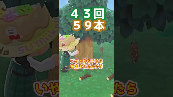 【あつ森】≪虫2500匹企画≫　ミノムシ　VS　きのえだ　　　　　　　　　　　　 #あつ森　 #あつまれどうぶつの森